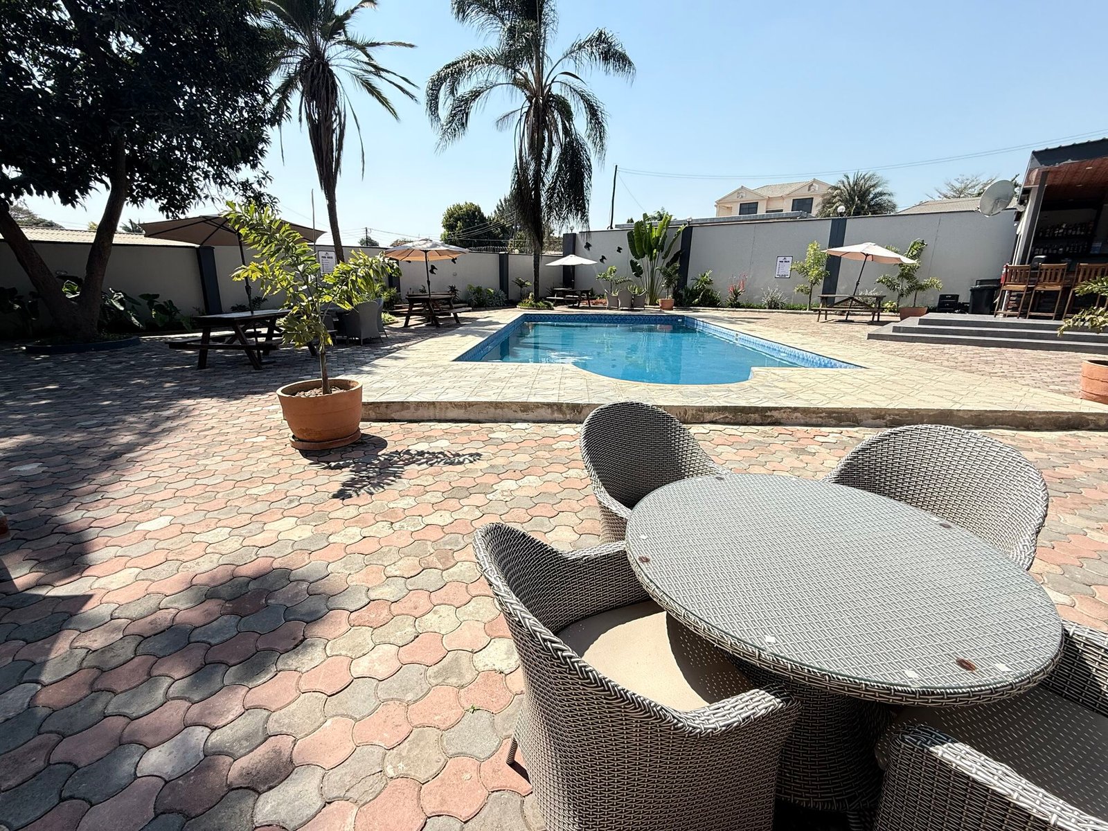 Pool, garden and bar